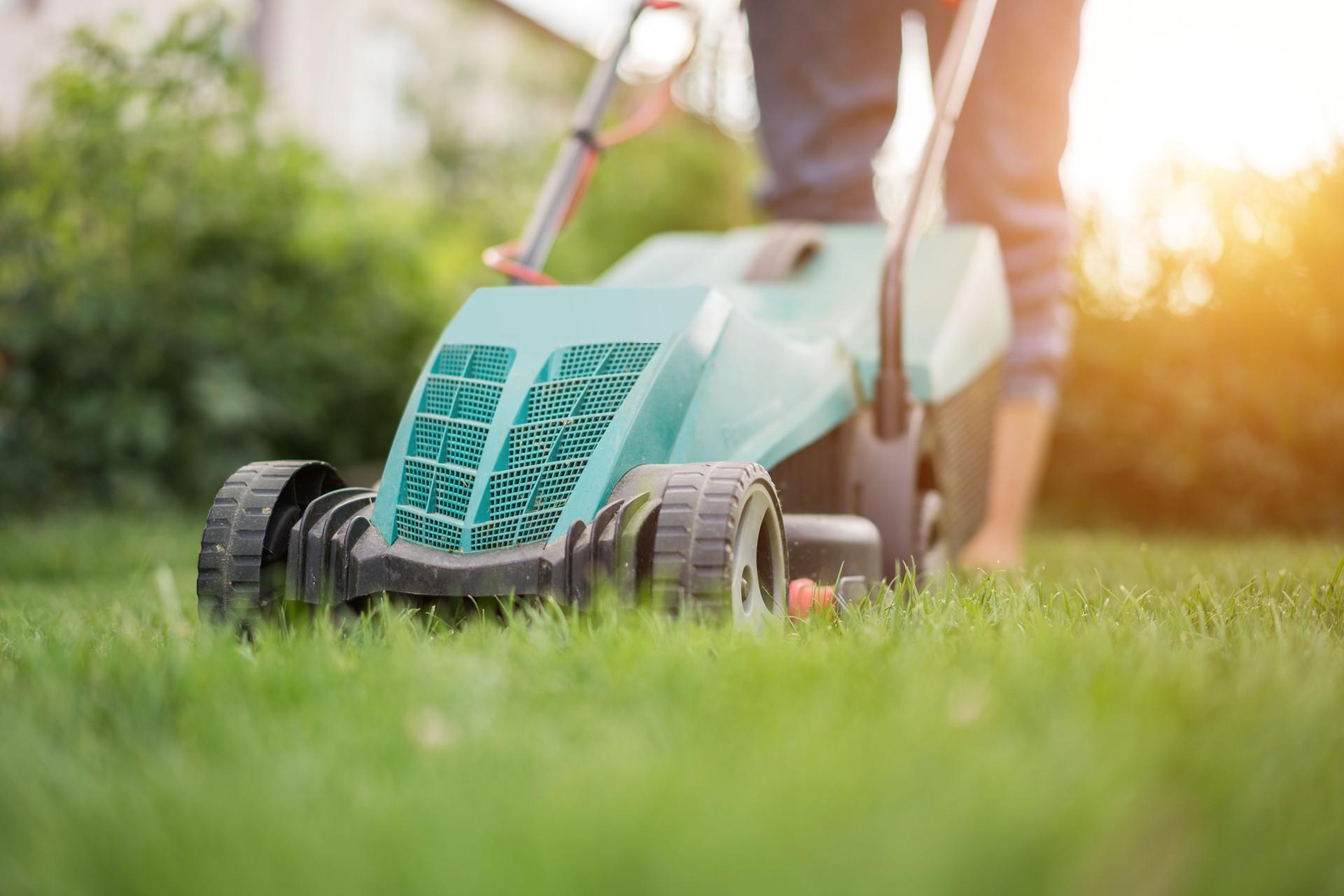 Mowing the lawn