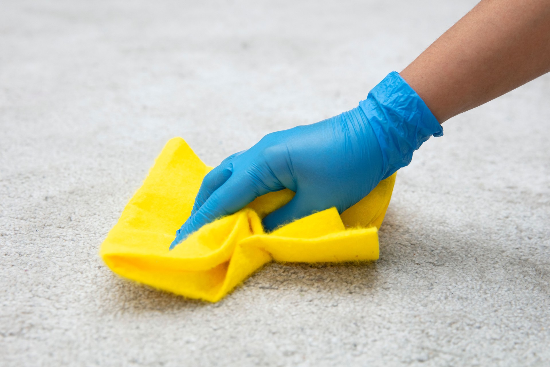 Woman in blue gloves cleaning carpet