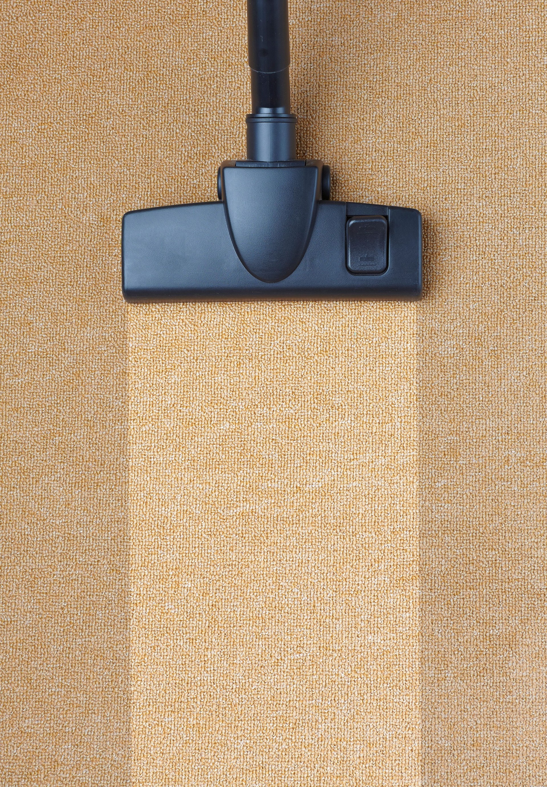 Vacuum Cleaner